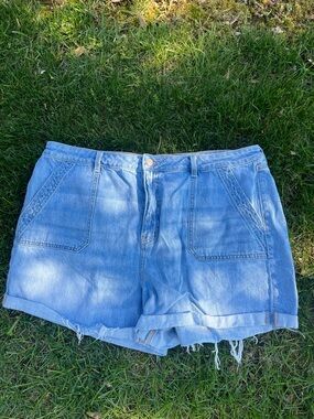 American Eagle Outfitters Light Blue Denim Cuffed Jean Shorts